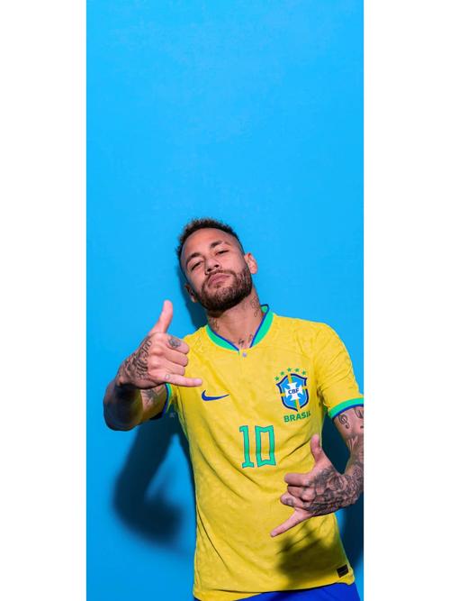 WTA巡回赛动态分析